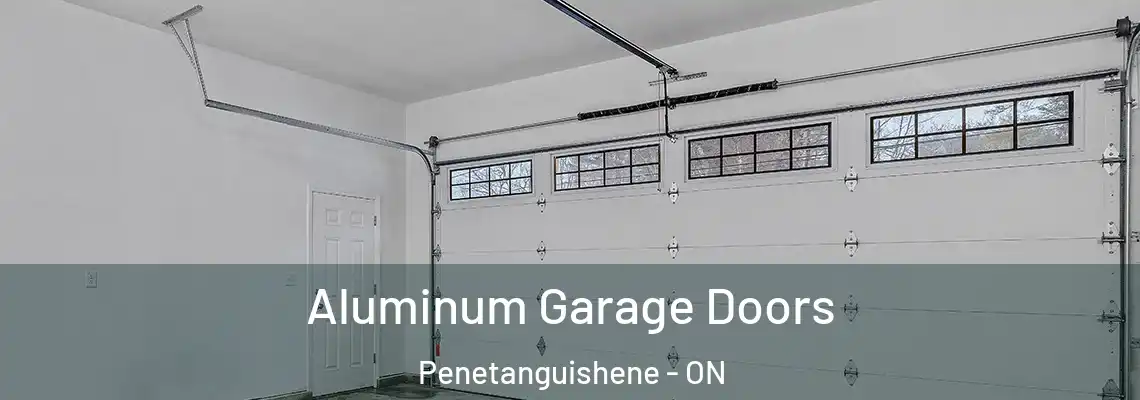 Aluminum Garage Doors Penetanguishene - ON
