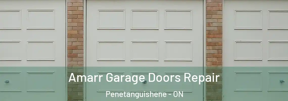 Amarr Garage Doors Repair Penetanguishene - ON