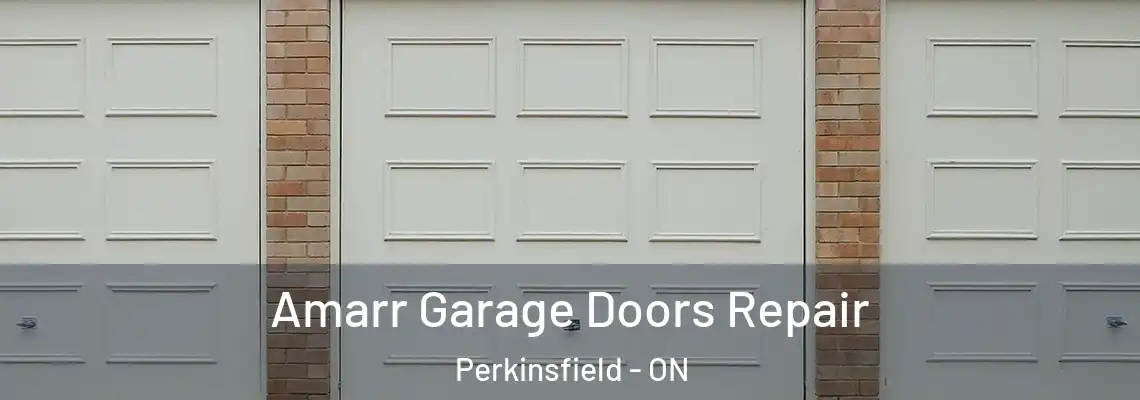 Amarr Garage Doors Repair Perkinsfield - ON