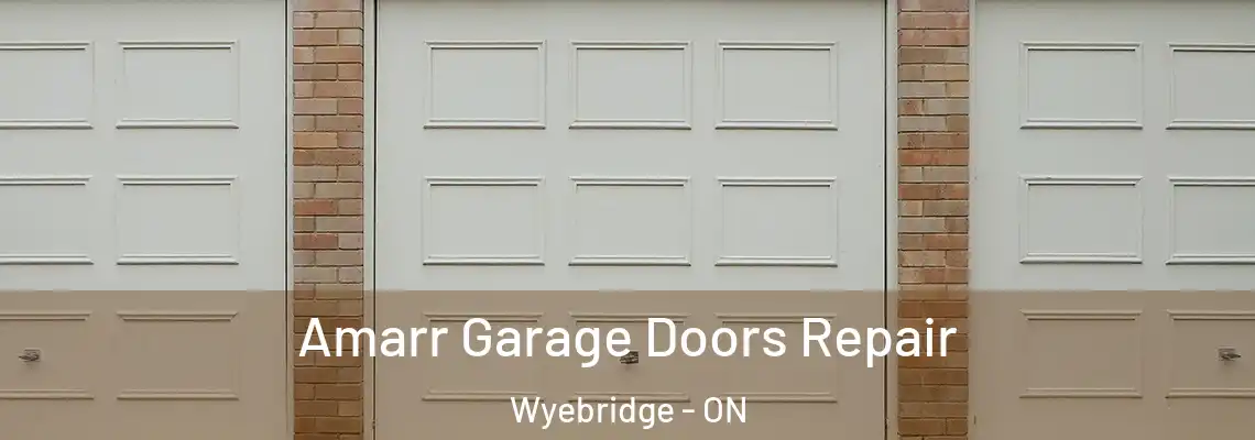 Amarr Garage Doors Repair Wyebridge - ON