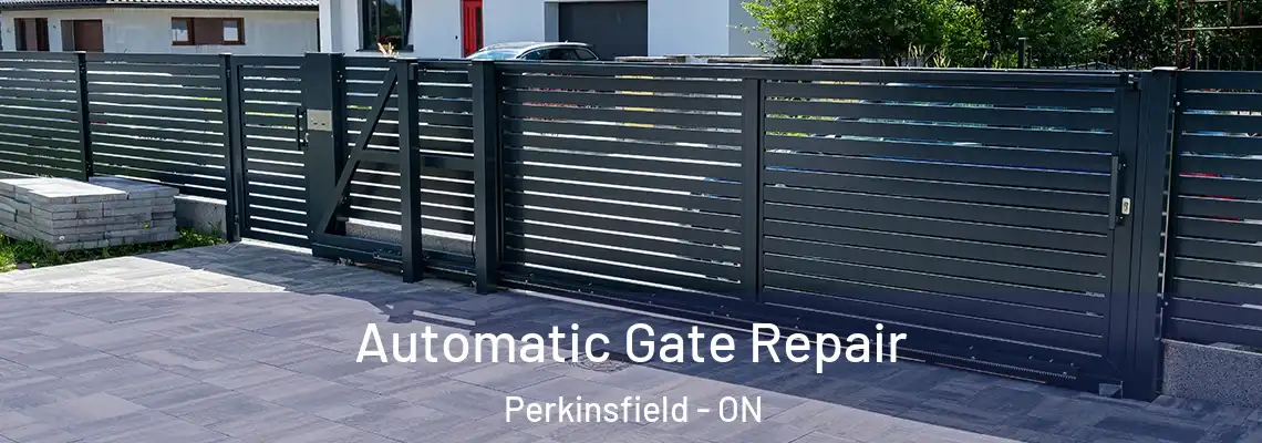 Automatic Gate Repair Perkinsfield - ON