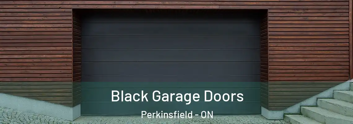 Black Garage Doors Perkinsfield - ON