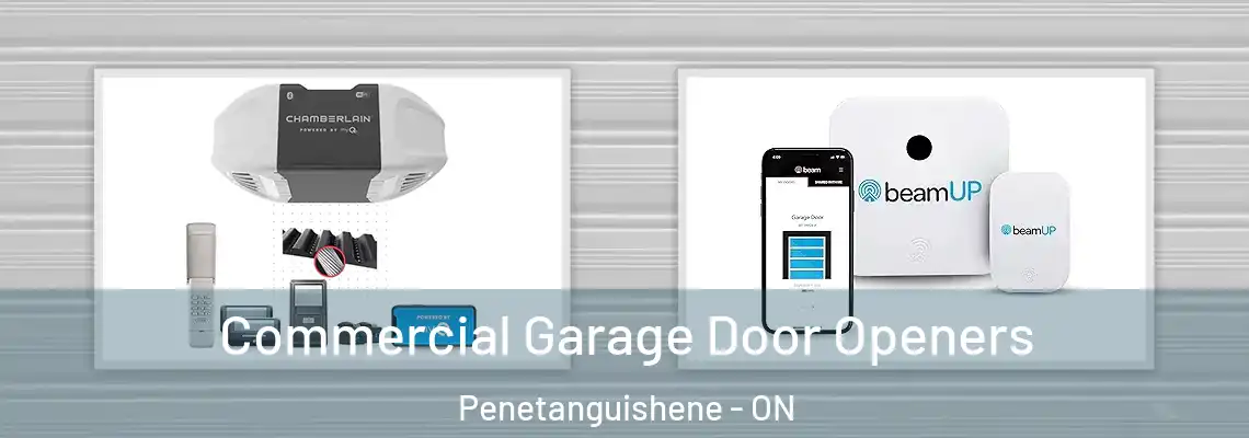 Commercial Garage Door Openers Penetanguishene - ON