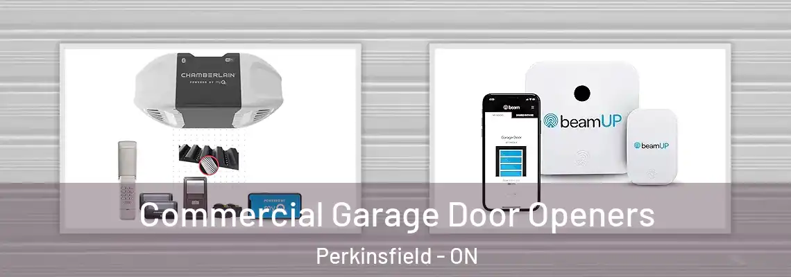 Commercial Garage Door Openers Perkinsfield - ON