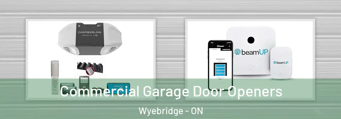 Commercial Garage Door Openers Wyebridge - ON