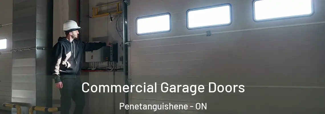 Commercial Garage Doors Penetanguishene - ON