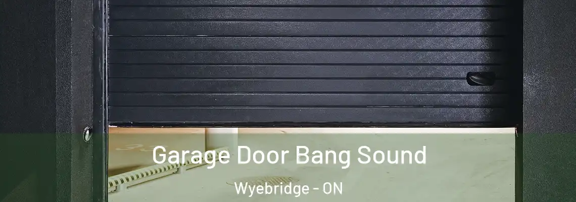 Garage Door Bang Sound Wyebridge - ON