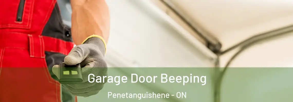 Garage Door Beeping Penetanguishene - ON