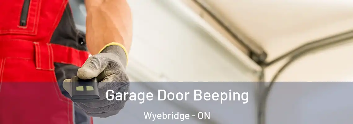 Garage Door Beeping Wyebridge - ON