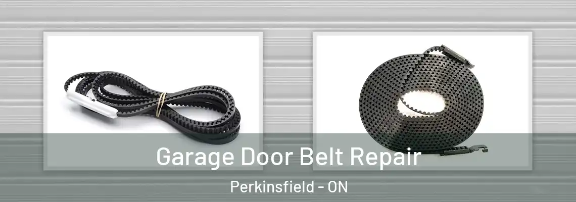 Garage Door Belt Repair Perkinsfield - ON