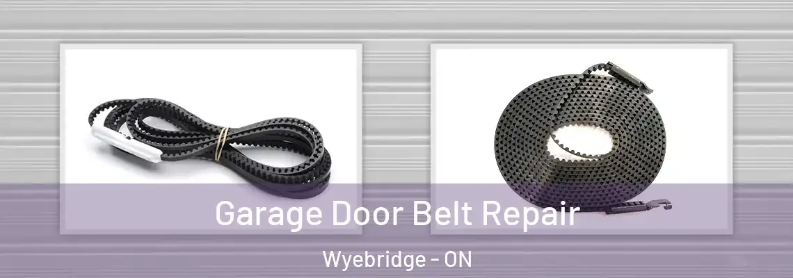 Garage Door Belt Repair Wyebridge - ON