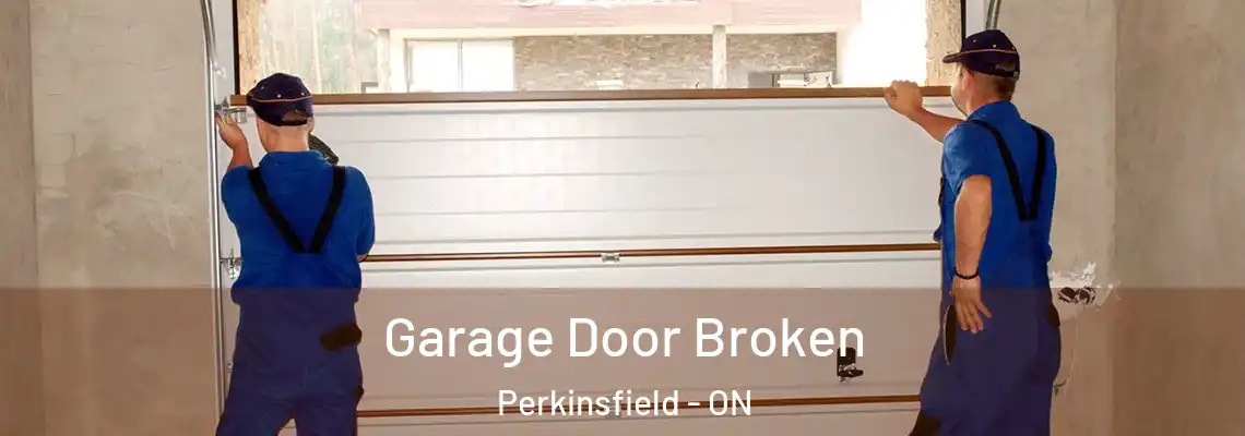 Garage Door Broken Perkinsfield - ON