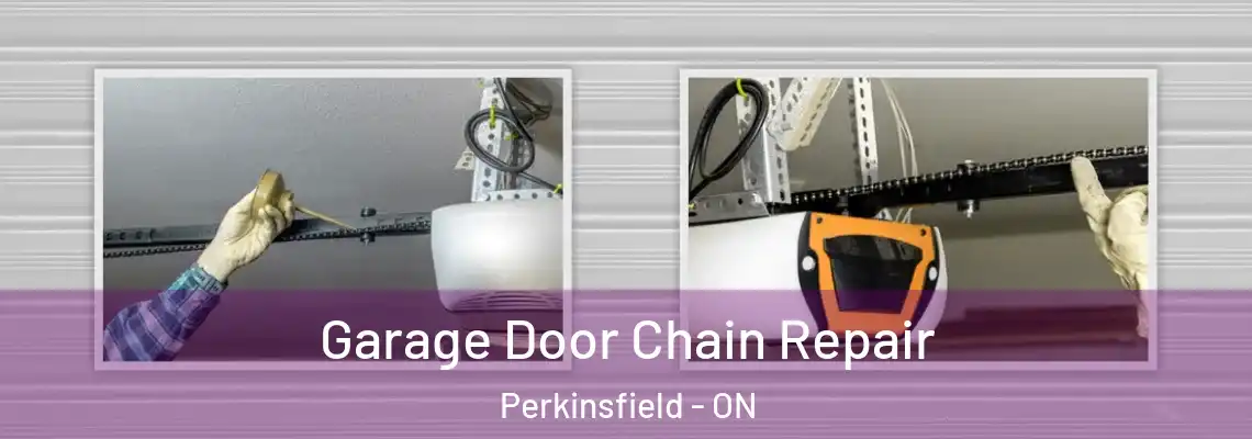 Garage Door Chain Repair Perkinsfield - ON