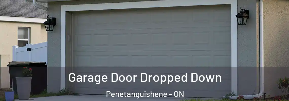 Garage Door Dropped Down Penetanguishene - ON