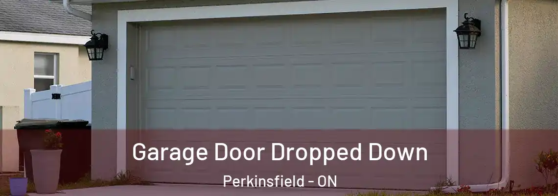 Garage Door Dropped Down Perkinsfield - ON