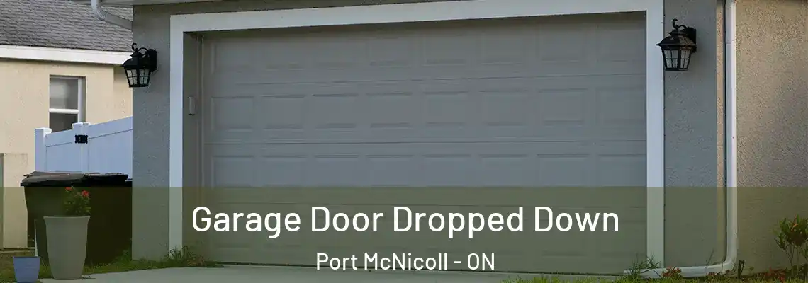 Garage Door Dropped Down Port McNicoll - ON
