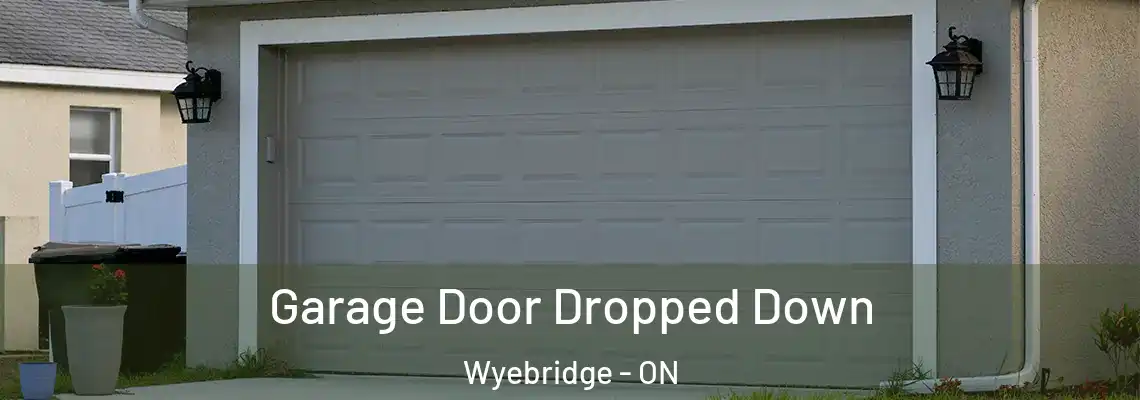 Garage Door Dropped Down Wyebridge - ON