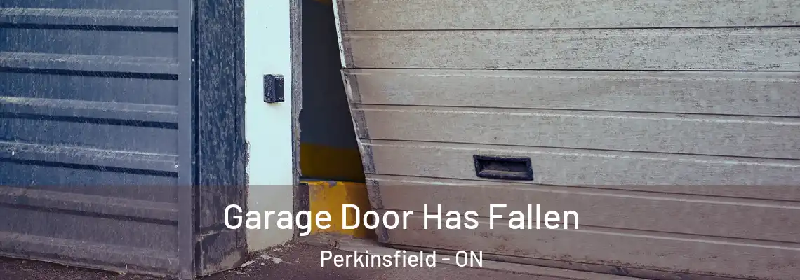 Garage Door Has Fallen Perkinsfield - ON