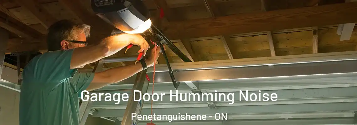 Garage Door Humming Noise Penetanguishene - ON