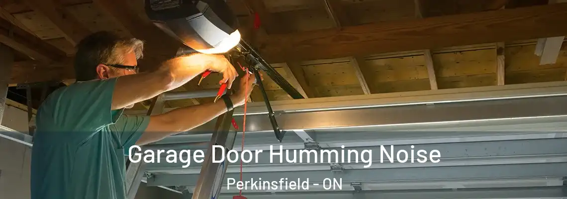 Garage Door Humming Noise Perkinsfield - ON