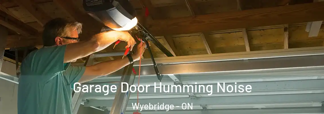 Garage Door Humming Noise Wyebridge - ON
