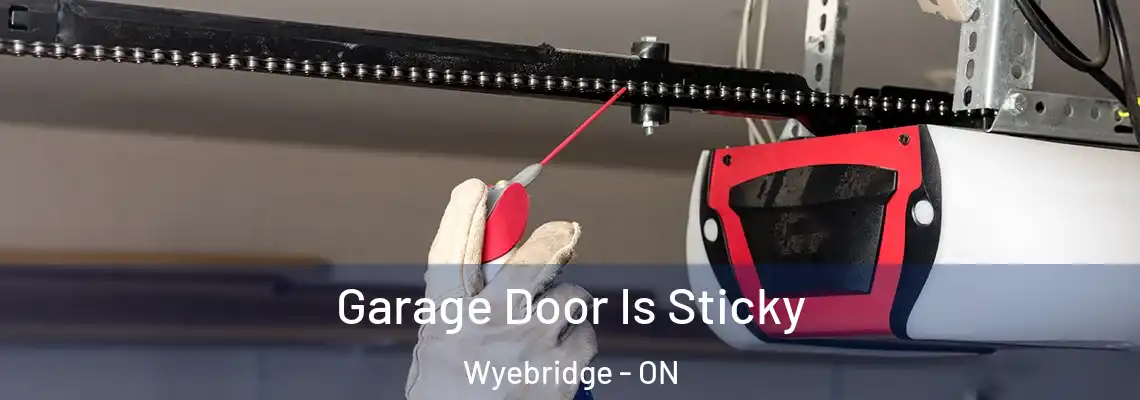 Garage Door Is Sticky Wyebridge - ON