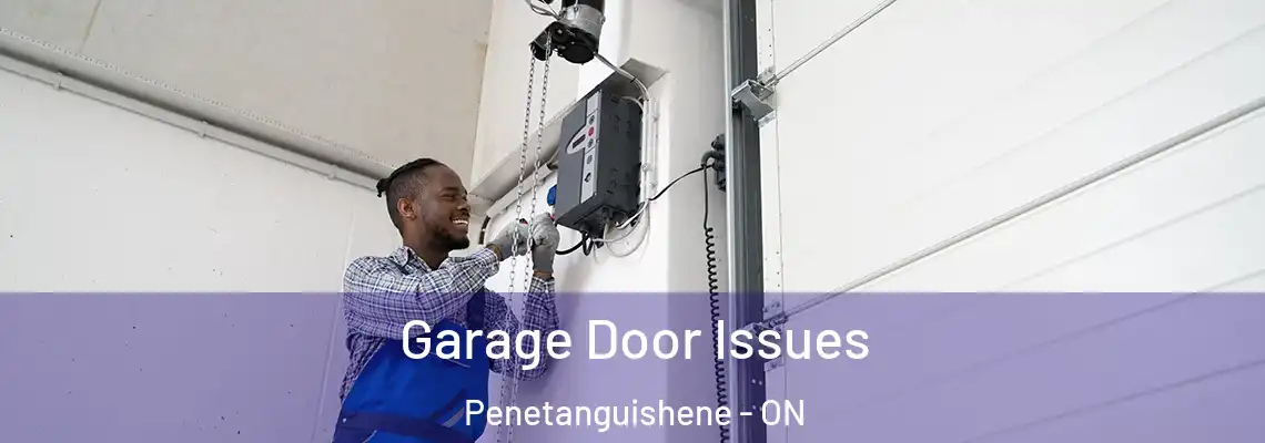 Garage Door Issues Penetanguishene - ON
