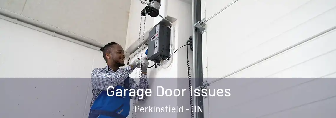 Garage Door Issues Perkinsfield - ON