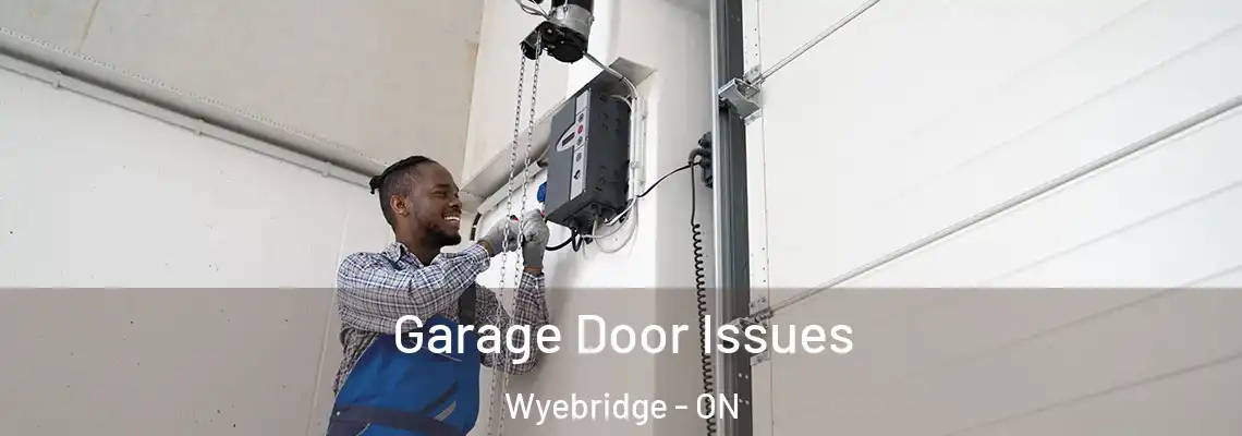 Garage Door Issues Wyebridge - ON