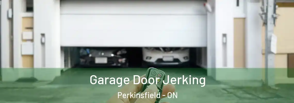 Garage Door Jerking Perkinsfield - ON