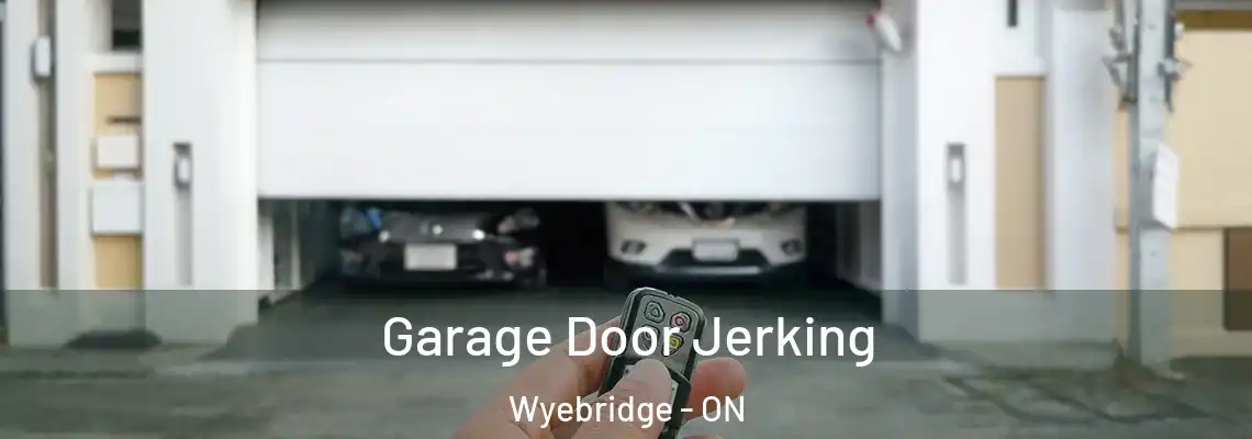 Garage Door Jerking Wyebridge - ON