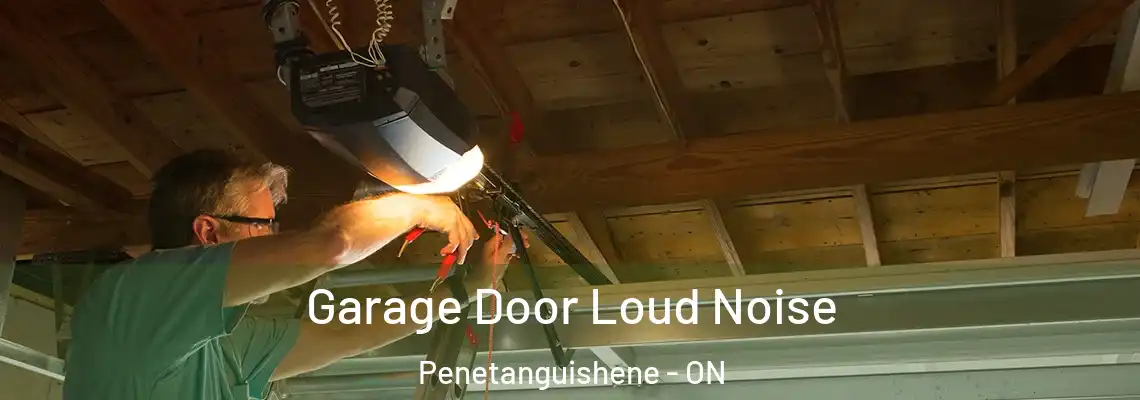 Garage Door Loud Noise Penetanguishene - ON