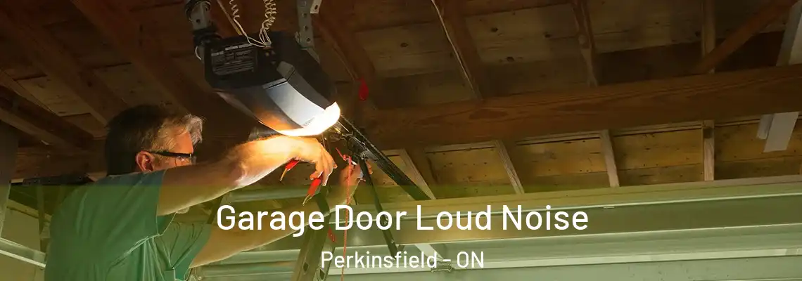 Garage Door Loud Noise Perkinsfield - ON