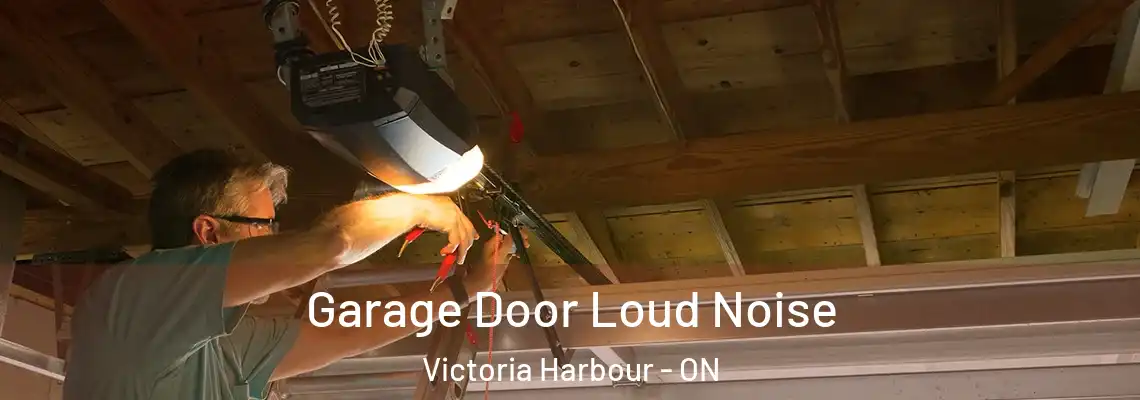 Garage Door Loud Noise Victoria Harbour - ON
