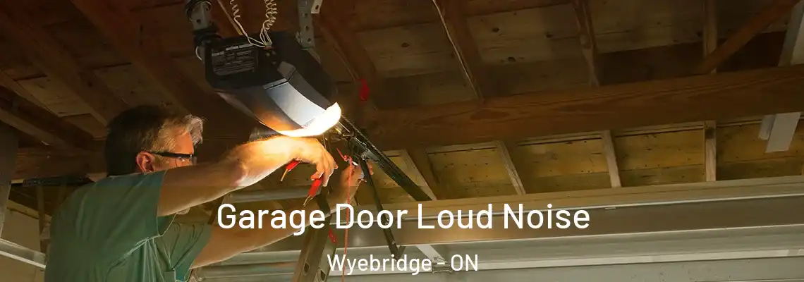 Garage Door Loud Noise Wyebridge - ON