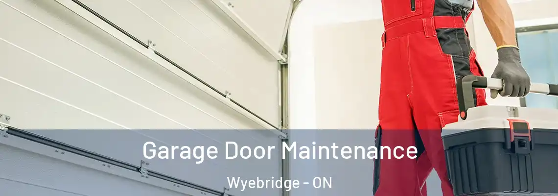  Garage Door Maintenance Wyebridge - ON
