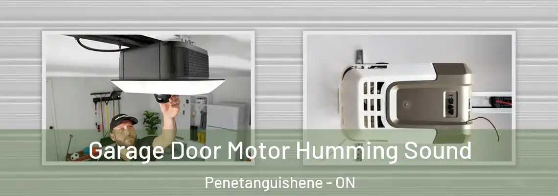 Garage Door Motor Humming Sound Penetanguishene - ON