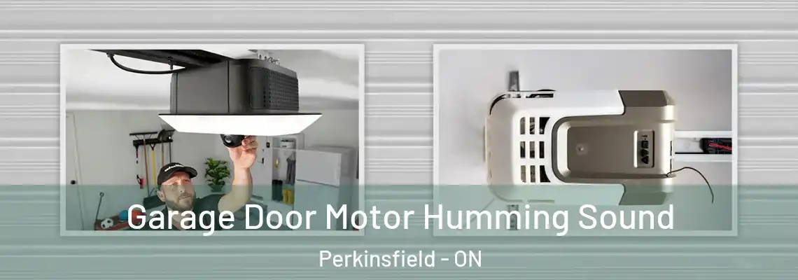 Garage Door Motor Humming Sound Perkinsfield - ON