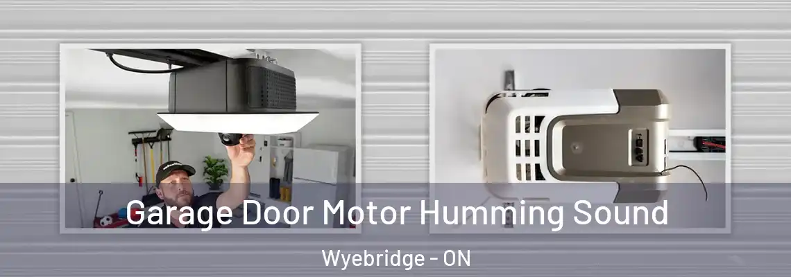 Garage Door Motor Humming Sound Wyebridge - ON