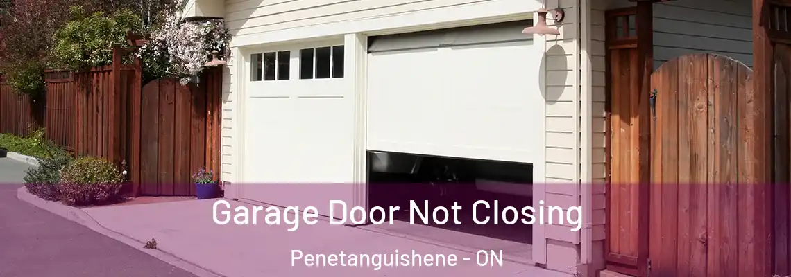 Garage Door Not Closing Penetanguishene - ON