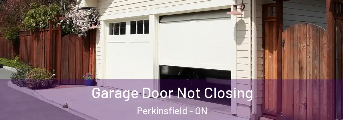  Garage Door Not Closing Perkinsfield - ON