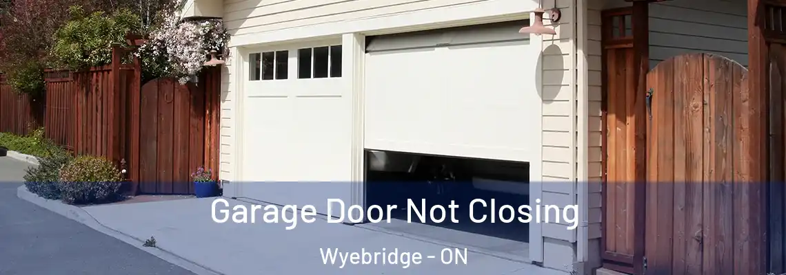 Garage Door Not Closing Wyebridge - ON