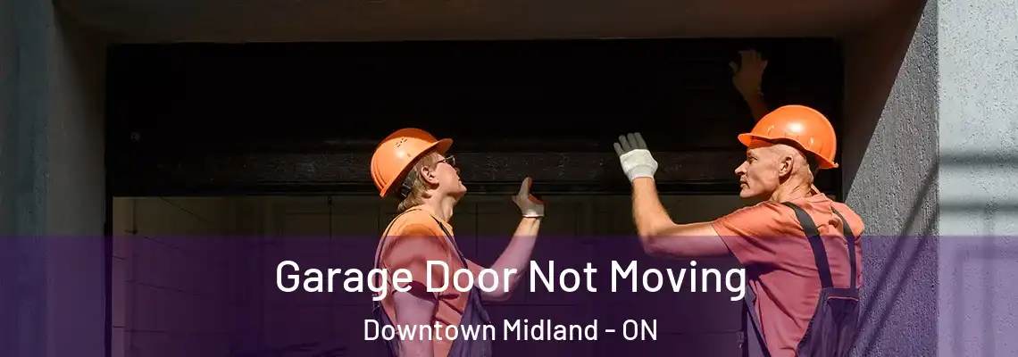 Garage Door Not Moving Downtown Midland - ON