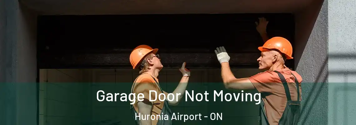  Garage Door Not Moving Huronia Airport - ON