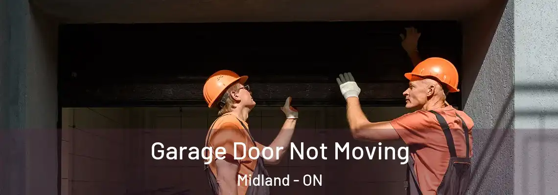 Garage Door Not Moving Midland - ON