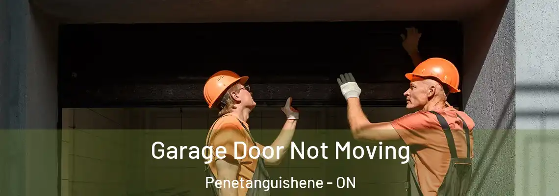Garage Door Not Moving Penetanguishene - ON