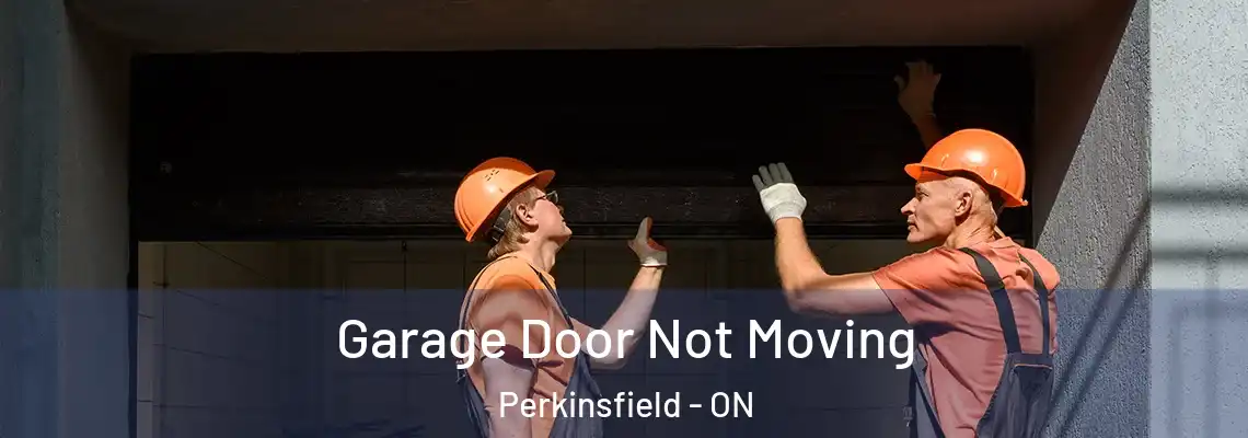 Garage Door Not Moving Perkinsfield - ON