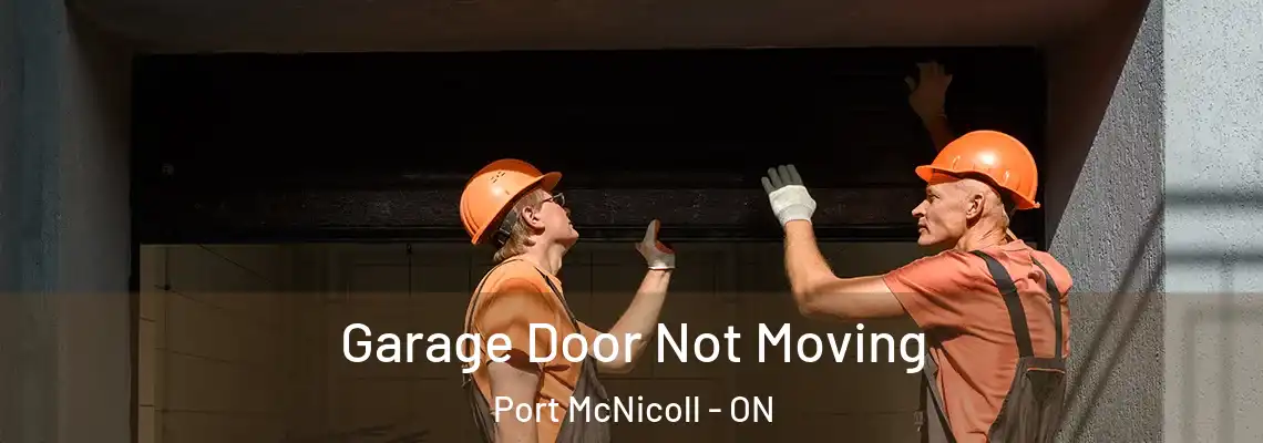Garage Door Not Moving Port McNicoll - ON