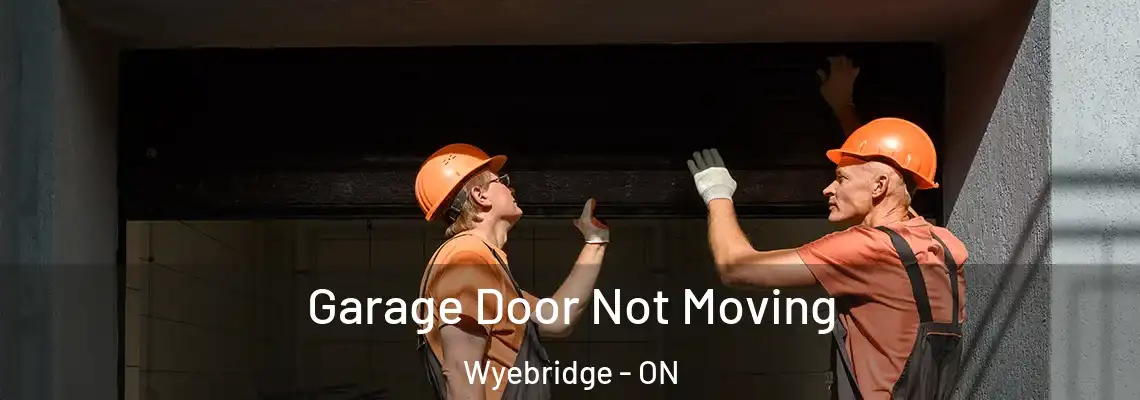 Garage Door Not Moving Wyebridge - ON