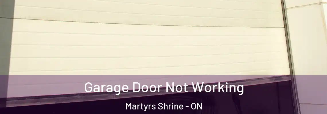 Garage Door Not Working Martyrs Shrine - ON